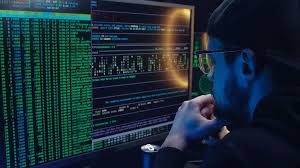 Especialista en soluciones de software